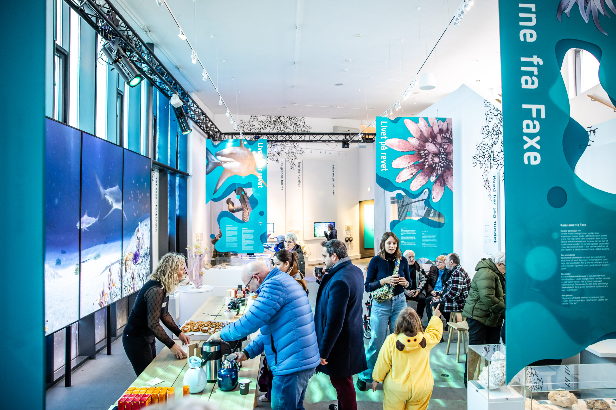 Geomuseum Faxe åbning 2024